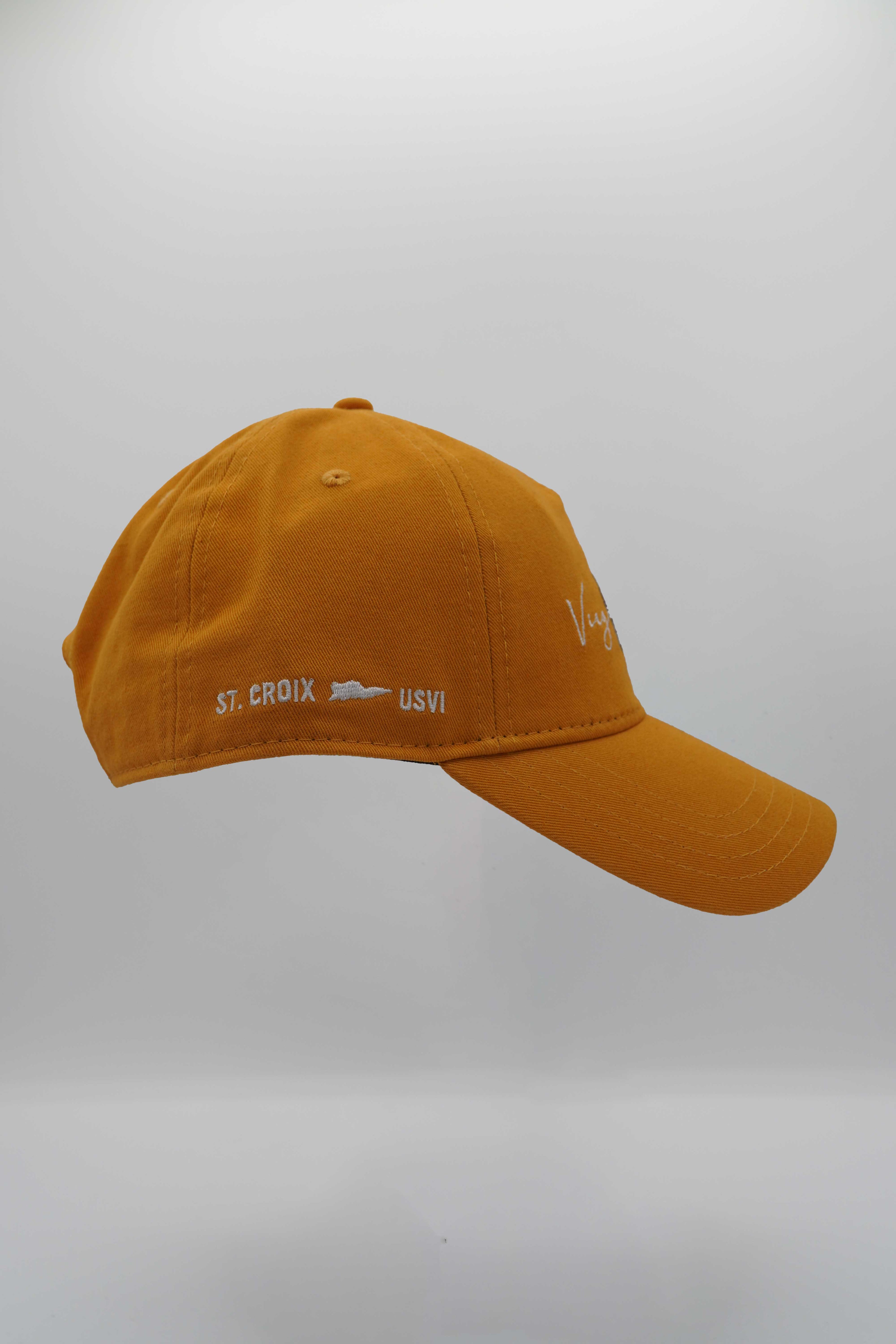 Elevare - VI Record Baseball Hat